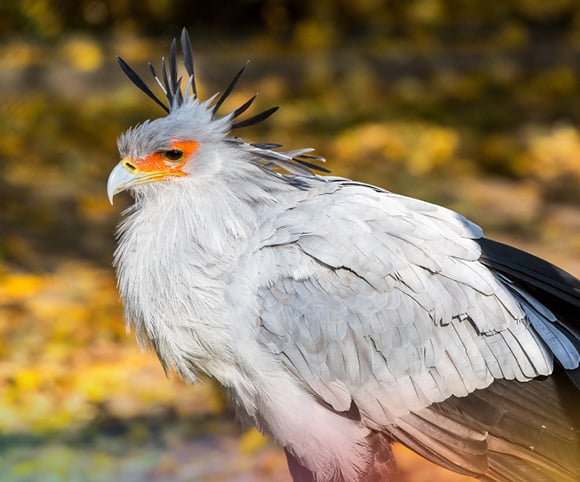 DTAD: Wir sind stolzer Pate der Sekretäre im Tierpark Berlin im Tierpark Berlin